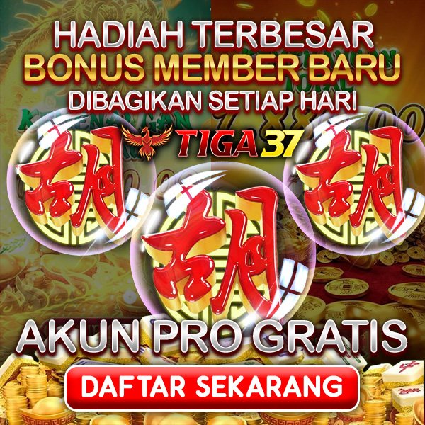 TIGA37 | Navigasi Ringan Yang Mudah Dipahami